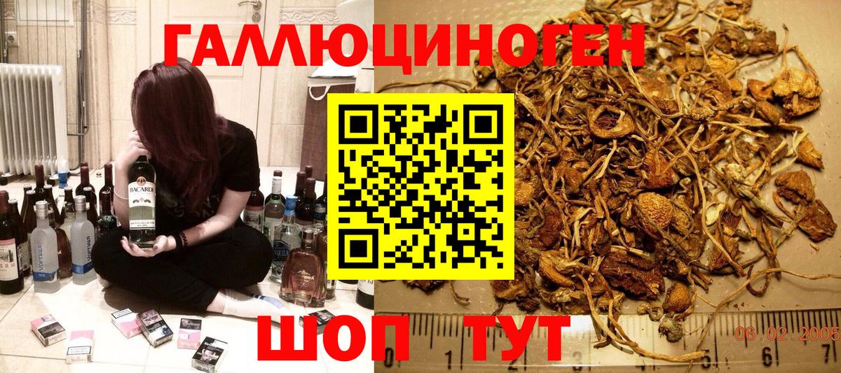 Псилоцибиновые грибы Psilocybine cubensis Сатка