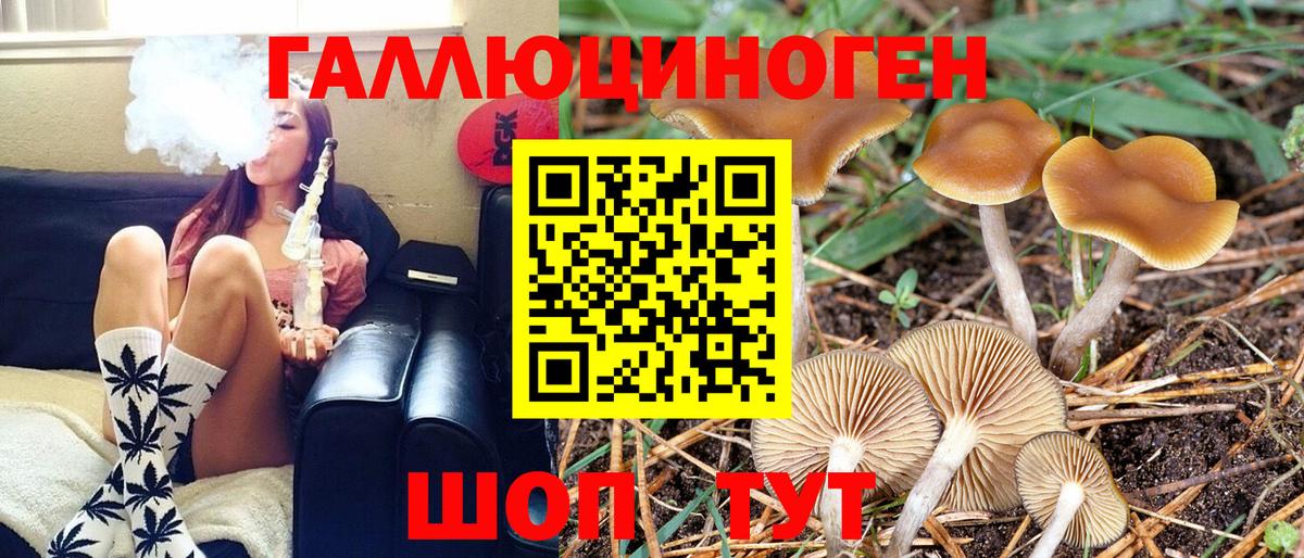 Сатка  Галлюциногенные грибы мицелий  Галлюциногенные грибы прущие грибы  Вход с VPN 